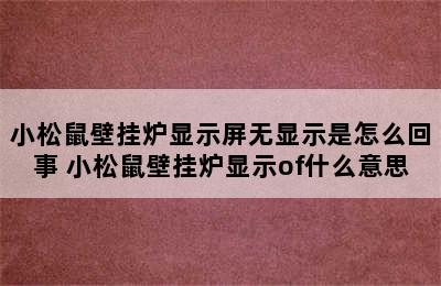 小松鼠壁挂炉显示屏无显示是怎么回事 小松鼠壁挂炉显示of什么意思